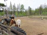 2304 Twp Road 545 - Photo 13
