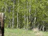 563003 Range Road 205 - Photo 2