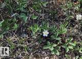 55109 Hwy 777 - Photo 4