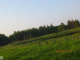 13530 Township Road 550 - Photo 54