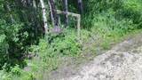 51369 Rge Road 225 - Photo 1