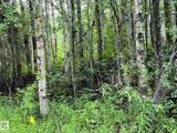 2130 2001 Twp Rd 474 - Photo 3