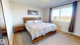3805 Cherry Loop - Photo 12