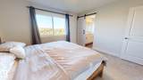 3805 Cherry Loop - Photo 13