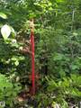 54104 Rge Rd 35 - Photo 13