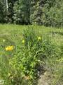 54104 Rge Rd 35 - Photo 9