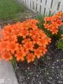 4912 52 Street - Photo 20