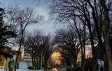 10346A 121 Street - Photo 4