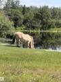 56527 Rge Rd 231 - Photo 15