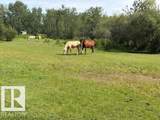 56527 Rge Rd 231 - Photo 17