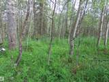 2217 Township 560 - Photo 10
