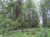 2217 Township 560 - Photo 43