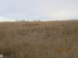 56529 Rge Road 34 - Photo 16