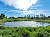 50125 Rge Rd - Photo 59