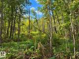 51248 Rge Road 231 - Photo 9