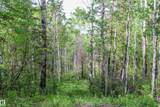Sec HWY 881 - Photo 8