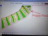 4 Poppy Place - Photo 10