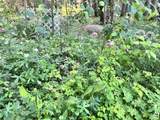 231054 Twp Rd 623.8 - Photo 26