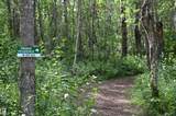 51123 Rge Road 222 - Photo 13