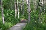 51123 Rge Road 222 - Photo 14