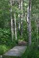 51123 Rge Road 222 - Photo 15