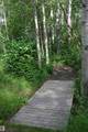 51123 Rge Road 222 - Photo 18
