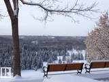 10021 116 Street - Photo 34