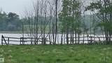 11 Twin Lakes Drive - Photo 50