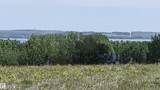 Twp 470 Hwy# 771 - Photo 11