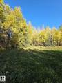 #3 9002 Hwy 16 - Photo 4