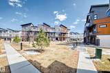 1203 163 Street - Photo 35