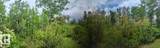 23229 Hwy 651 - Photo 3