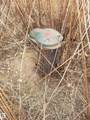 221048 TWP Rd 670 - Photo 3