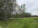 Lot 7 Buck Lake Estates - Photo 6