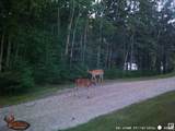 60550 Hwy 855 - Photo 38