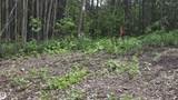 77 Crystal Springs Drive - Photo 5