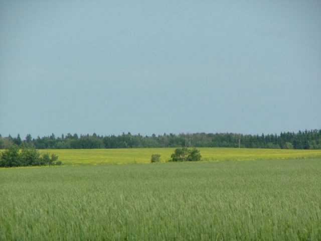 A51069 Hwy 814 - Photo 1