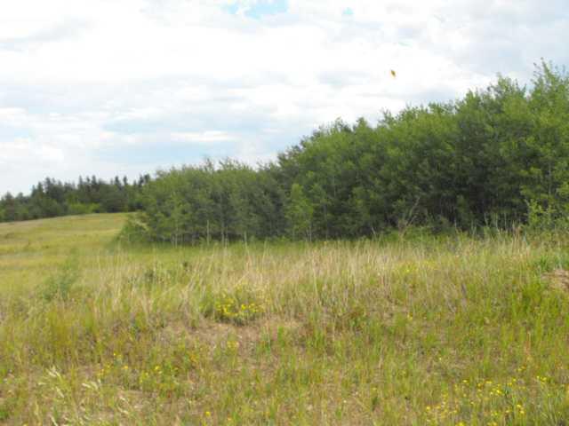 Fort George Estates, Miller Drive - Photo 1