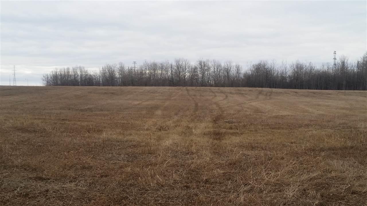 12735 199 Street - Photo 1