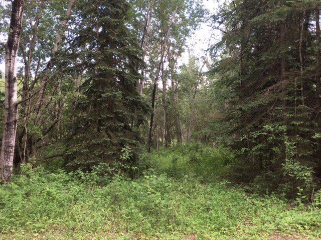 RR 235A TWP RD 624 - Photo 1