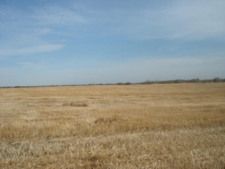 Range Road 183 Between Township Roads 540 And 542 - Photo 1