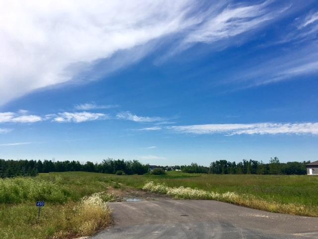 490 50450 Range Road 234 - Photo 1