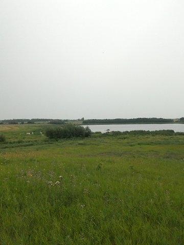 TWP. 500, RGE. RD. 225 - Photo 1