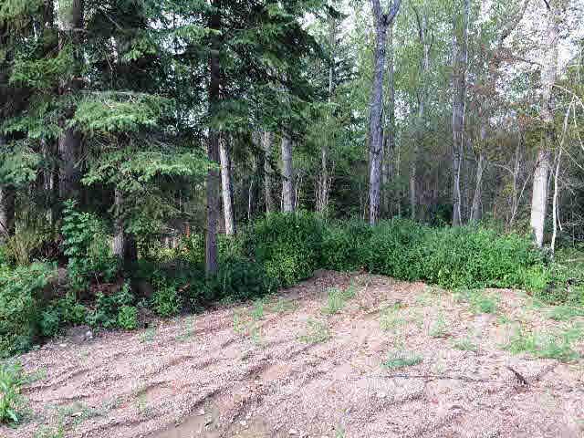 RR433 Twp633 - Photo 1