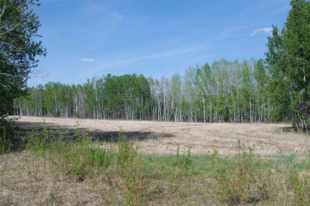 730 Otter Creek Road - Photo 1
