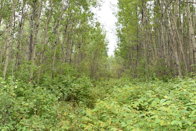 Lot 1, Blk 1, Plan 1522832 Wandering River - Photo 1