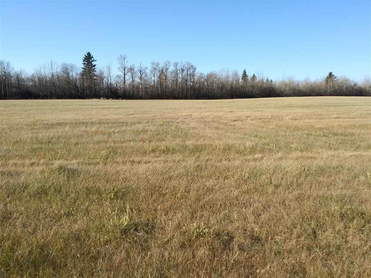 Twp. Rd 590 Range Road 101 - Photo 1