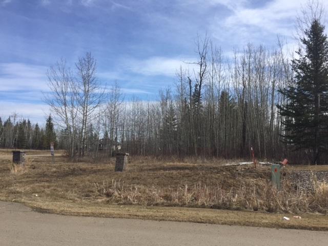 53 53305 Rge Rd 273 Road - Photo 1