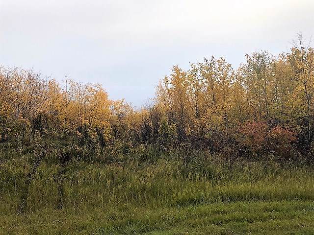 62438 411A Road - Photo 1