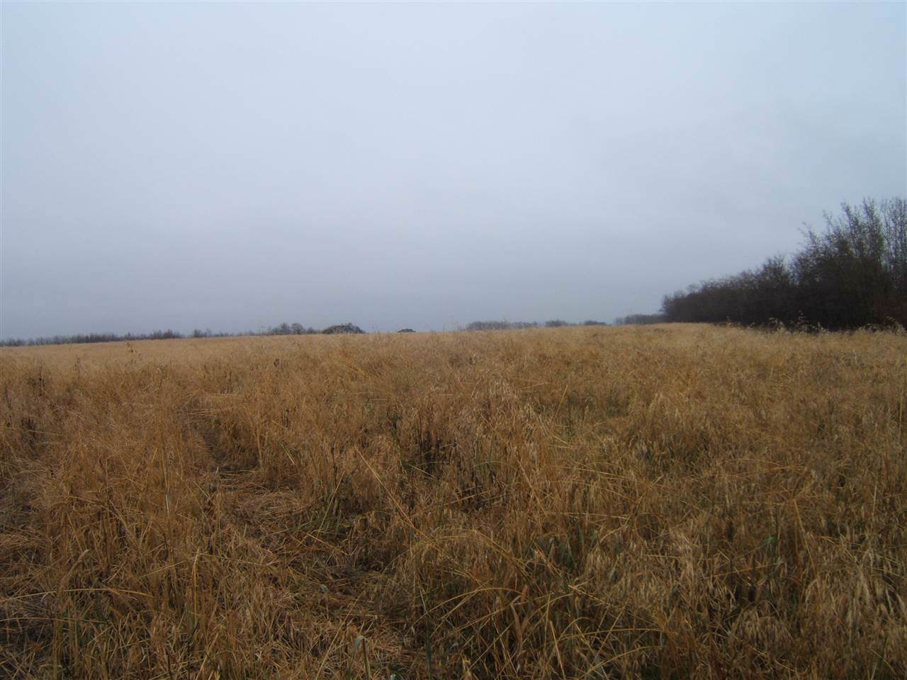 SW-12-53-13 -4Th - Photo 1